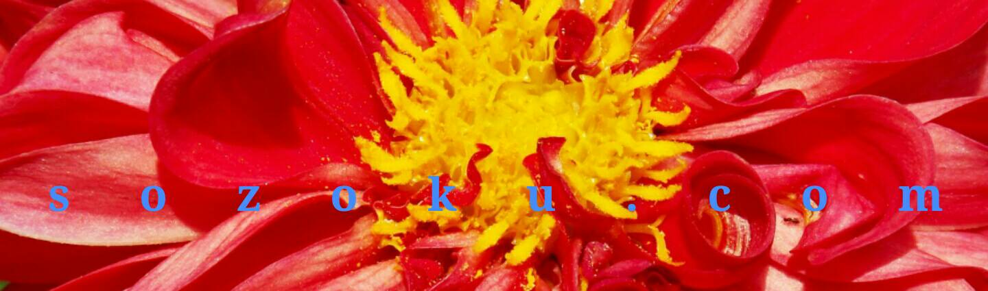 京都の弁護士｜馬場充俊