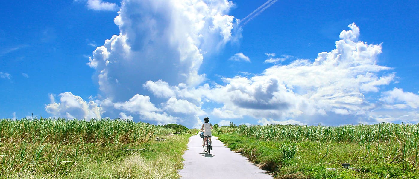 離婚・男女関係