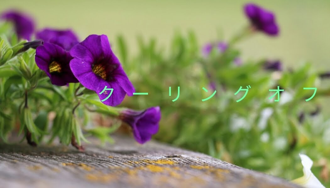 京都の弁護士｜馬場充俊